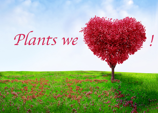 Resultado de imagen de we love plants
