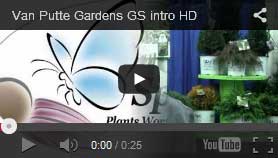 garden-splendor