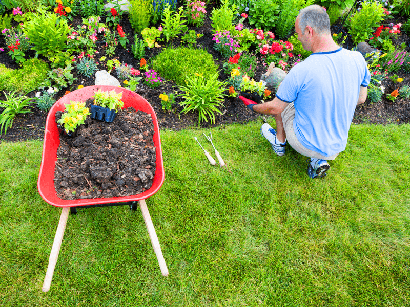 Do-It-Yourself Landscaping
