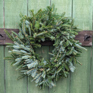 24" Fresh Plain Fraser Fir Wreath