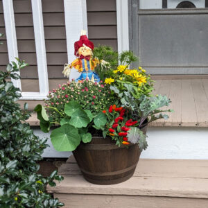 Barrel & Bloom Planter Workshop - $50-85