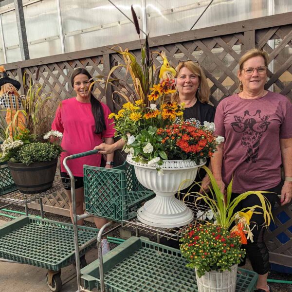 Fall Harvest Porch Pot Workshop - $60-85 - Image 2