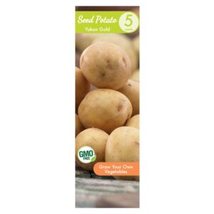 Seed Potato Box Yukon Gold 5PPK