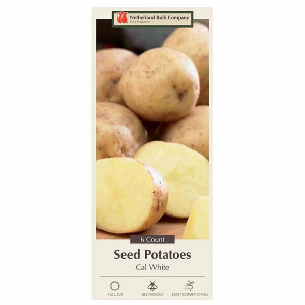 Seed Potato Cal White 6PPK