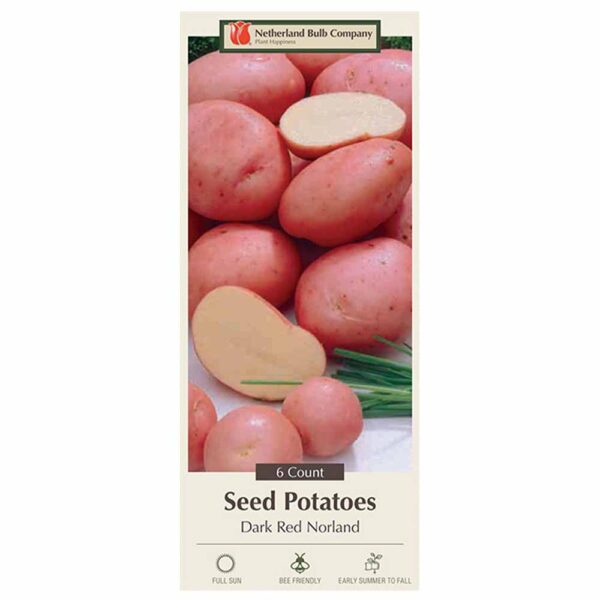 Seed Potato Red Norland 6PPK