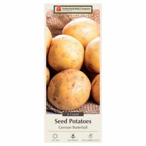 Seed Potato German Butterball 6PPK