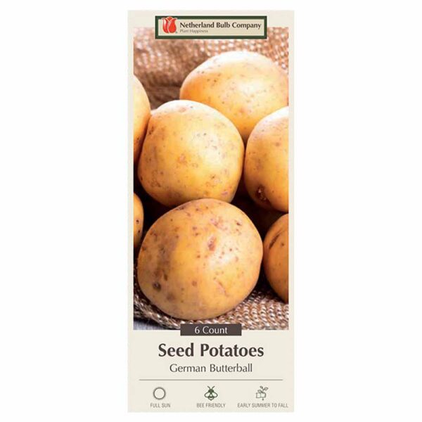Seed Potato German Butterball 6PPK