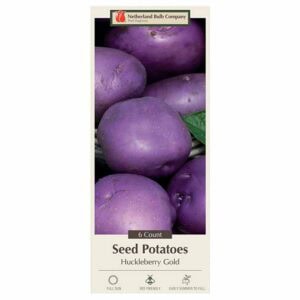 Seed Potato Huckleberry Gold 6PPK