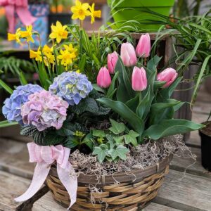 Houseplant Hop: DIY Easter Basket