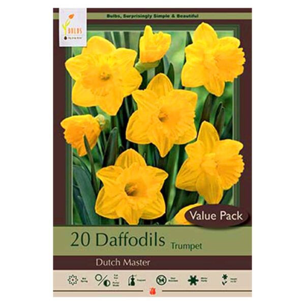 Daffodil Dutch Master Bulb 20PP