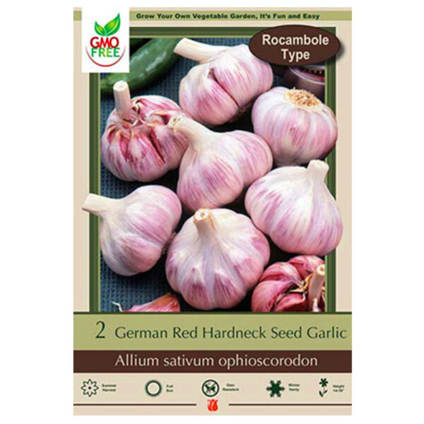 Garlic Red German Bulb 2PP