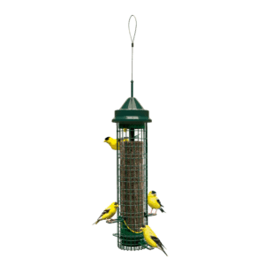 Squirrel Buster Finch Birdfeeder