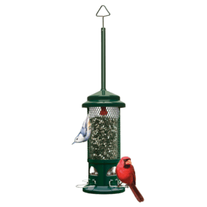 Squirrel Buster Standard Birdfeeder