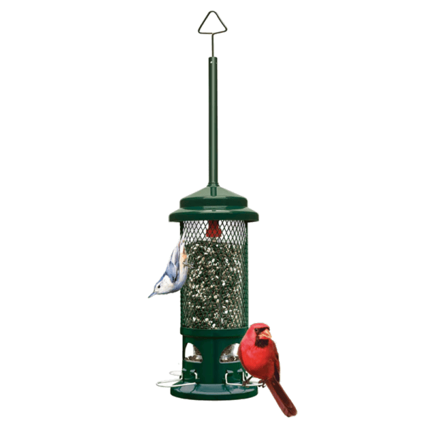 Squirrel Buster Standard Birdfeeder