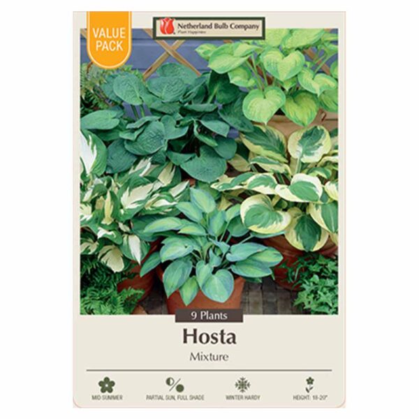 Hosta Mix Bulb 9PPK