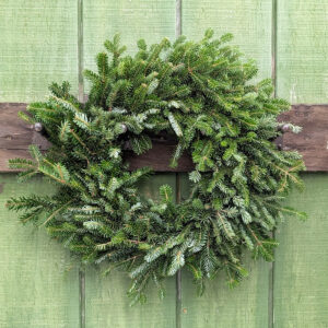 20" Fresh Plain Fraser Fir Wreath