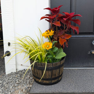Barrel O' Fun Planter For Kids - $15