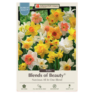 Daffodil All in One Blend Bulb 14PP
