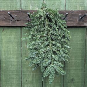 Fresh Noble Fir Bunch 1.5lb
