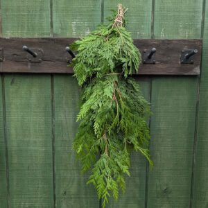 Fresh Western Red Cedar Bunch 1.5lb