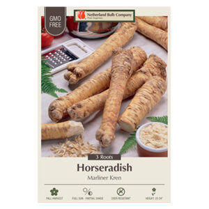 Horseradish Marliner Kren 3PPK