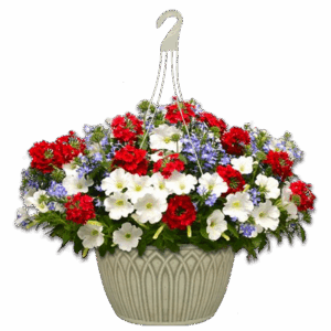 12" Hanging Basket Combo - Heartland