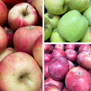 Apple Tree, Semi-Dwarf - Combo, All-in-One - 5 gal