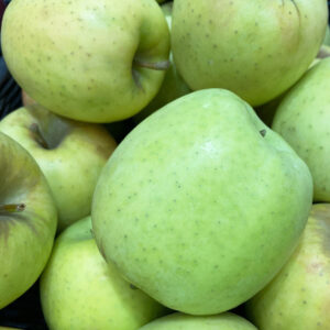 Apple Tree, Semi-Dwarf - Crispin (Mutsu) - 5 gal