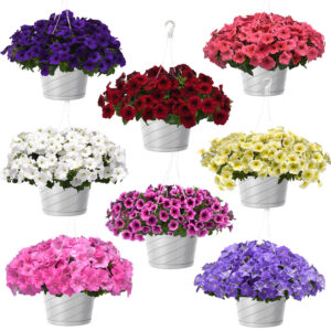 10" Wave Petunia Hanging Basket