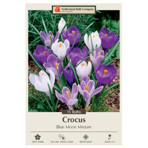 Crocus Blue Moon Mix Bulb 15PP